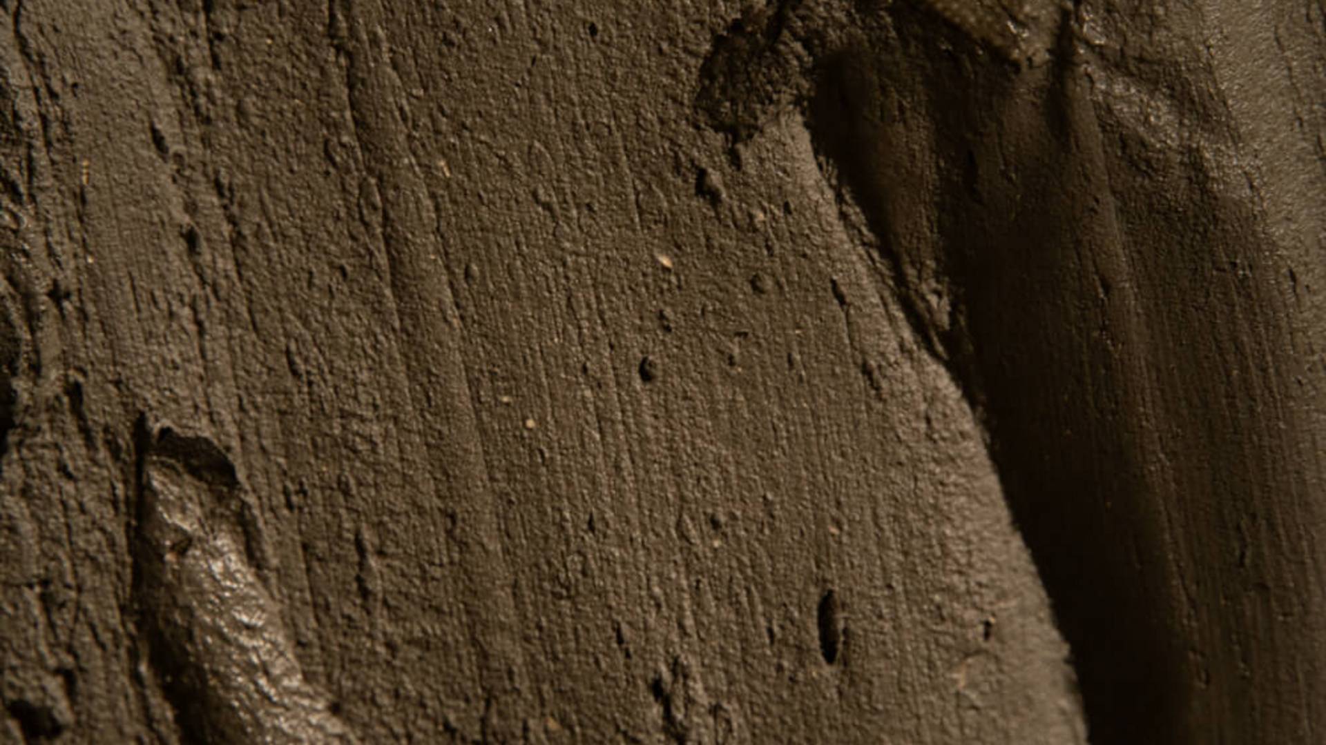 Terme Preistoriche s.r.l.